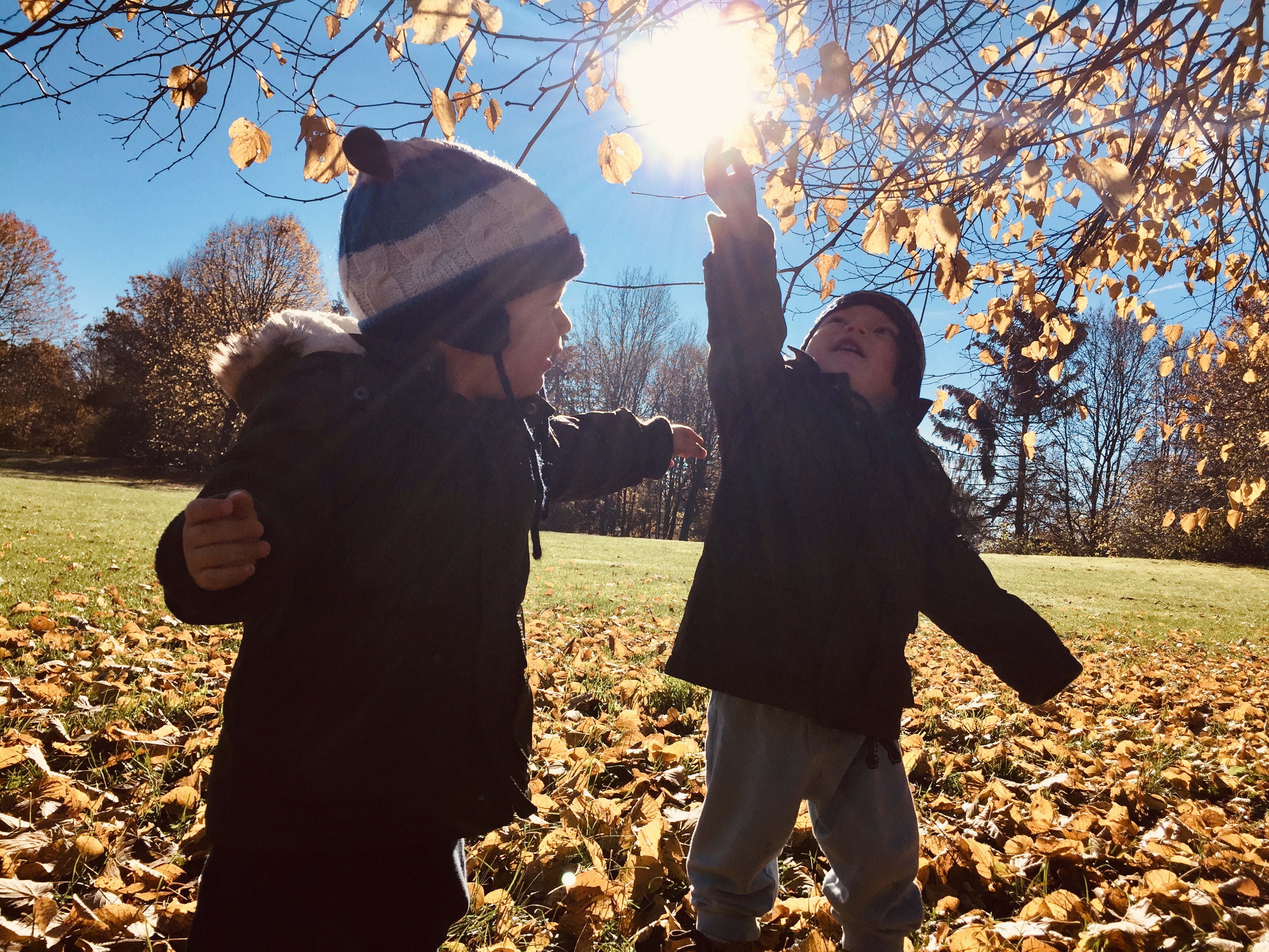 kids in nature touching the Sun