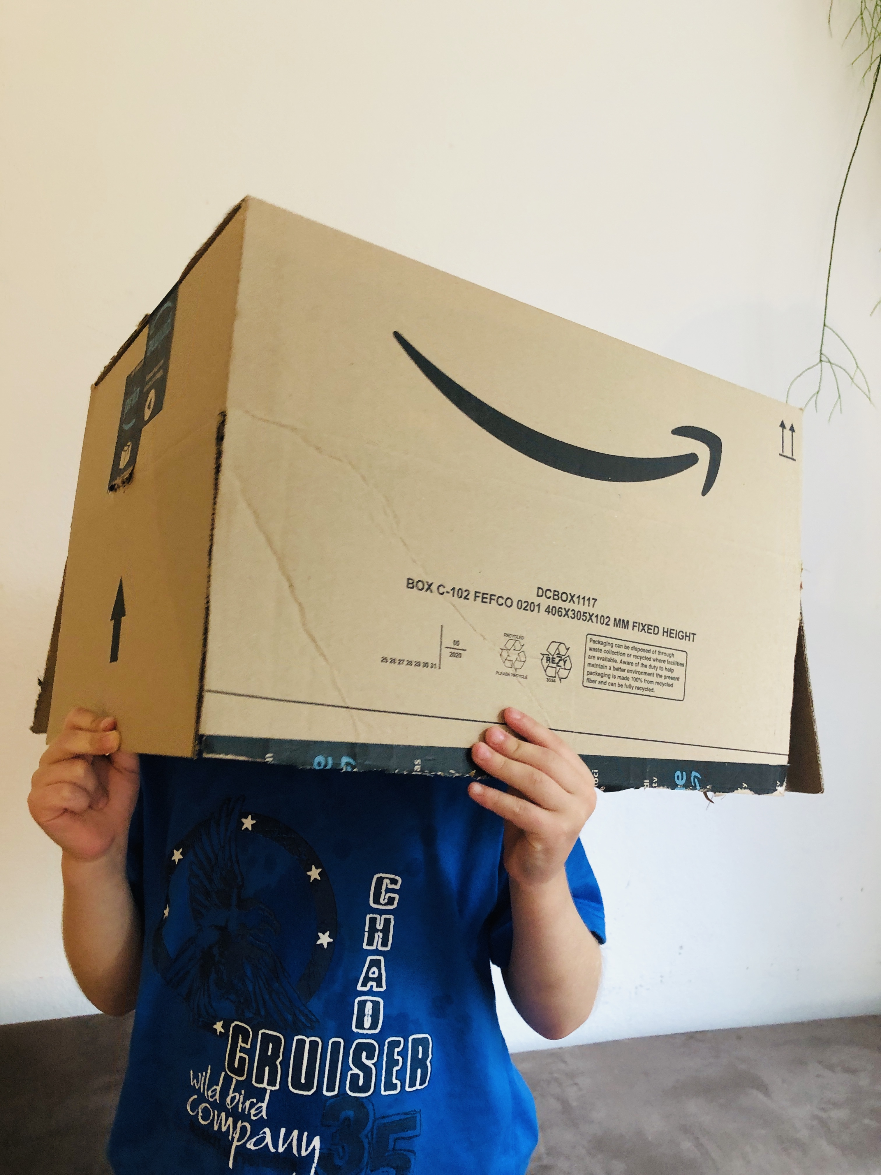 Kid holding an old cardboard box for upcycling