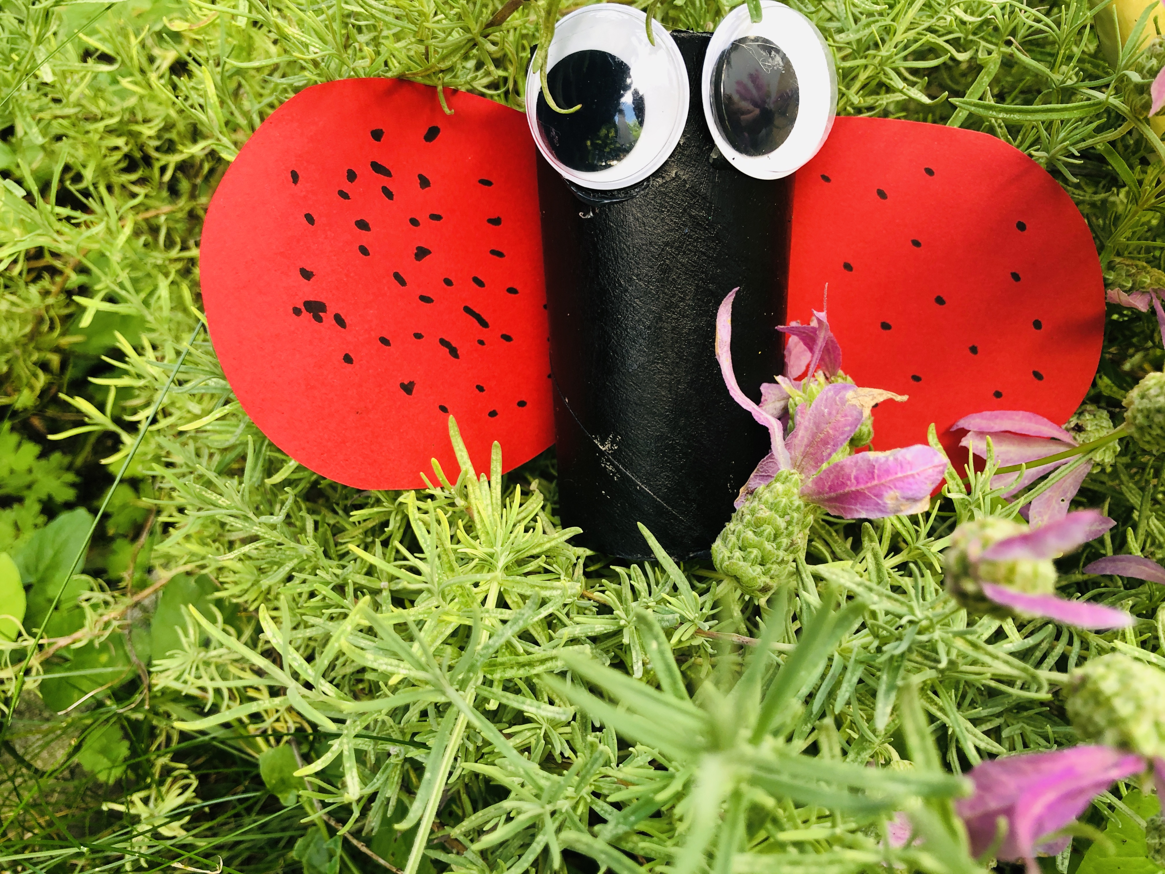 paper roll ladybug on a flower