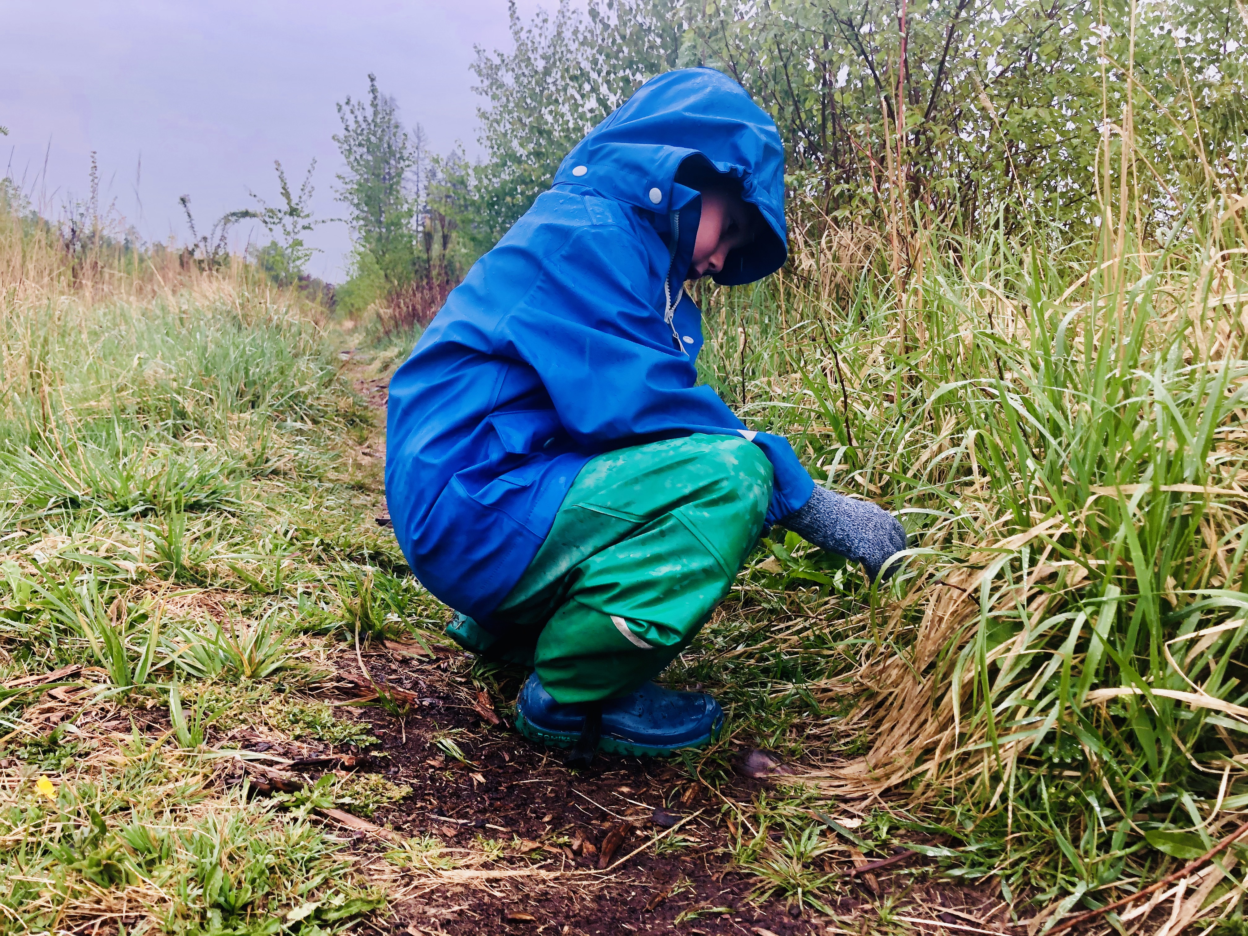 Catching snails