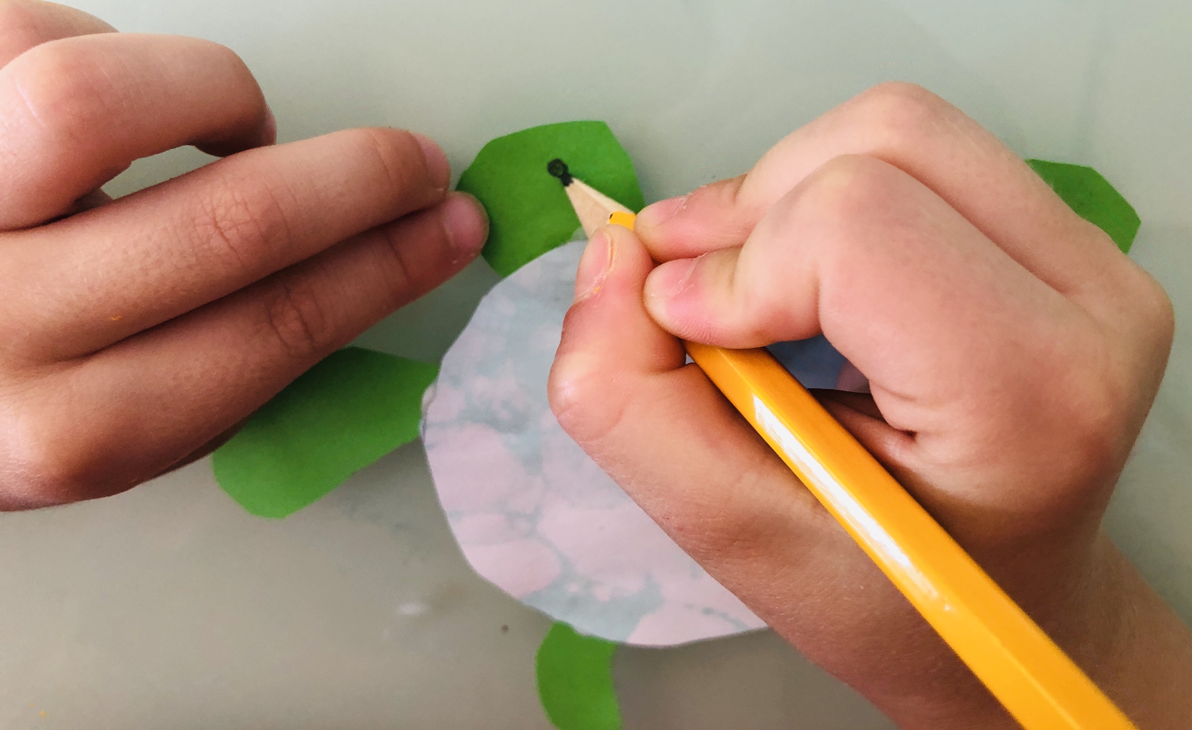 kid drawing eyes on a turtle