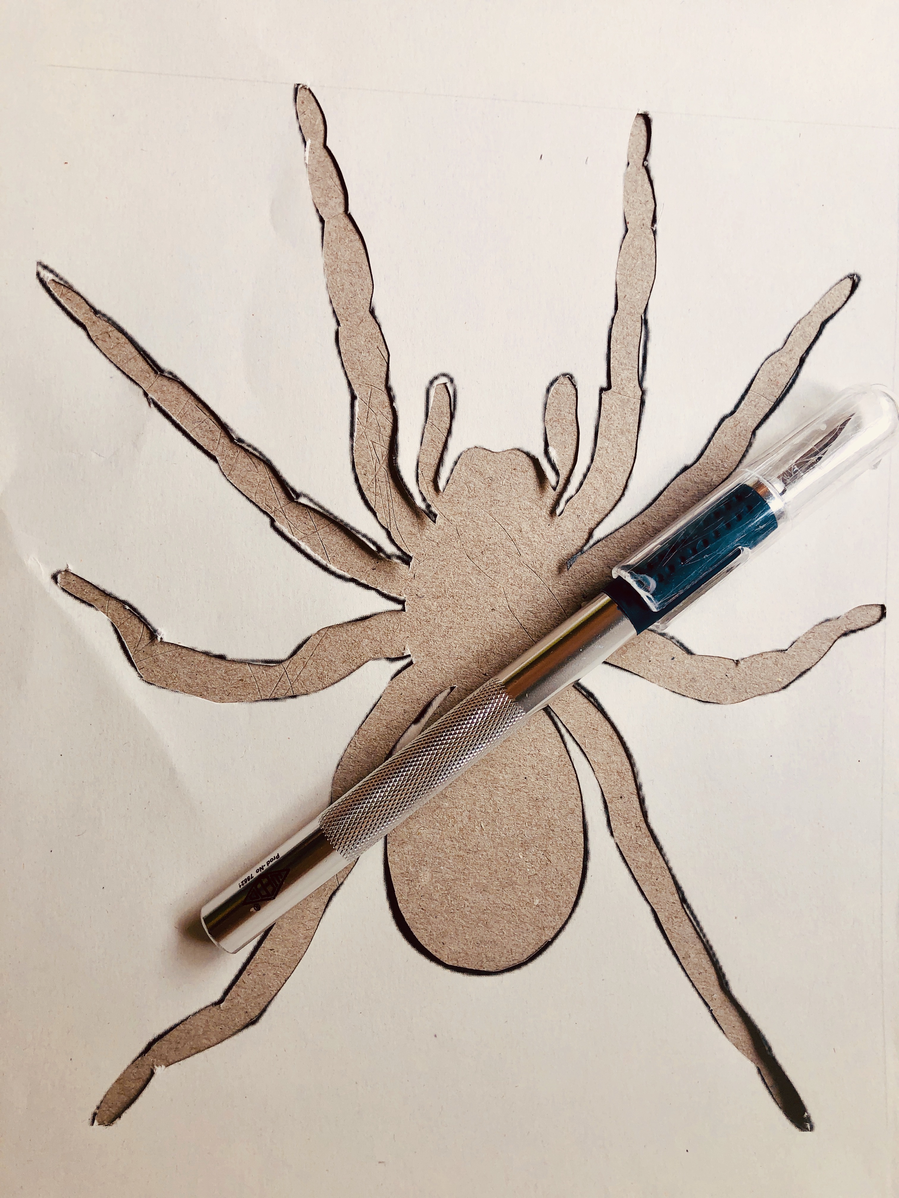 cutting out a spider template