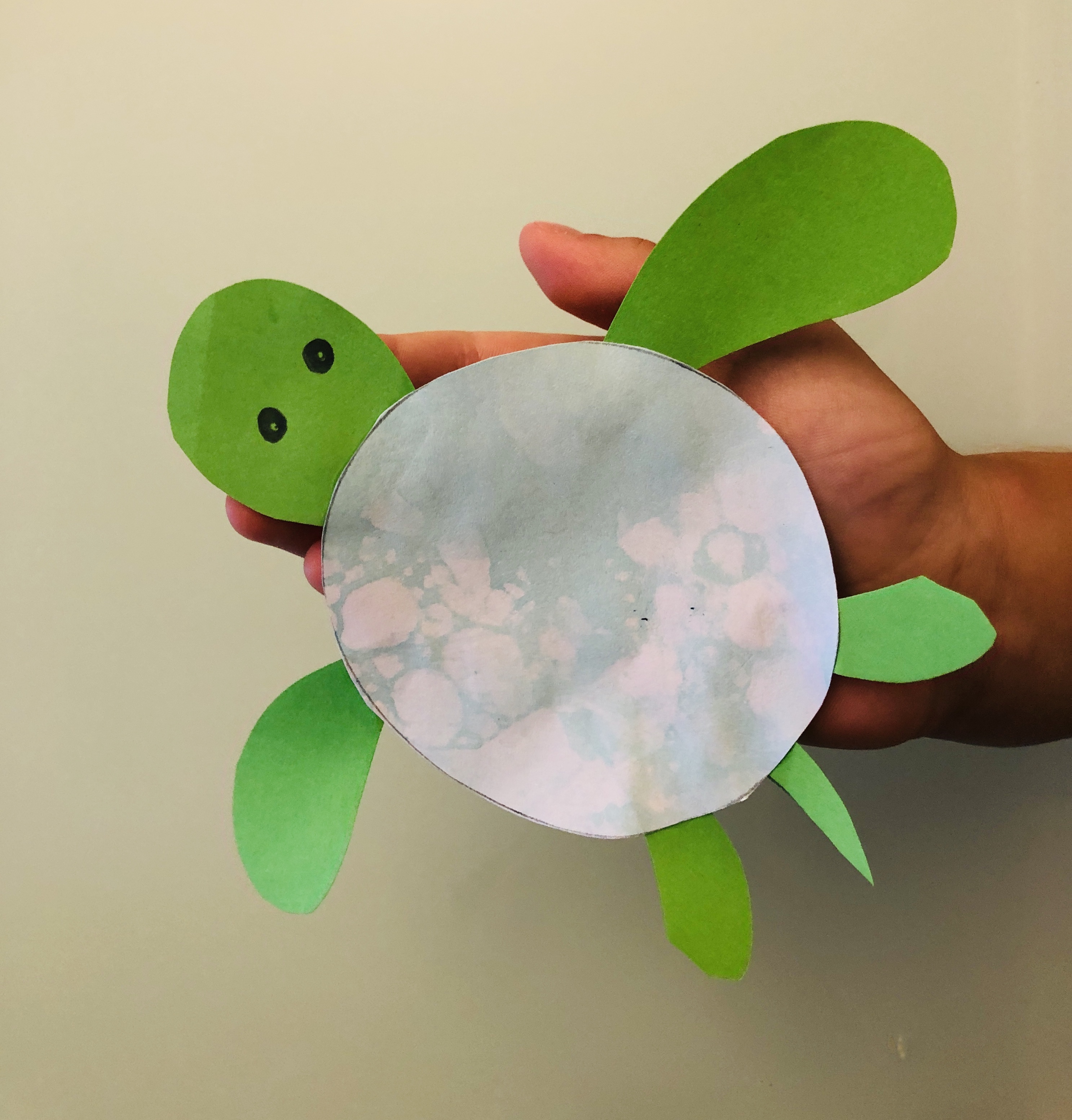 kid holding a paper turtle