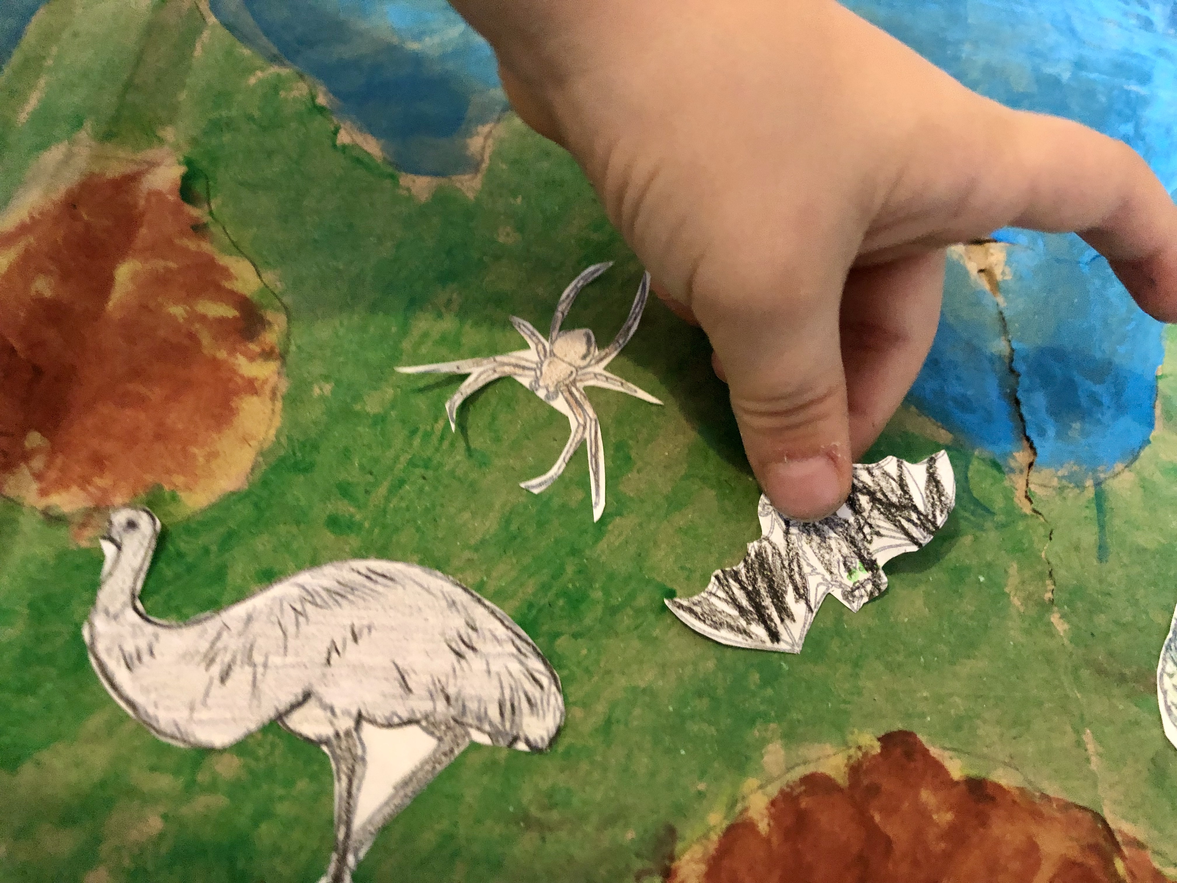 kid glueing animals in australia