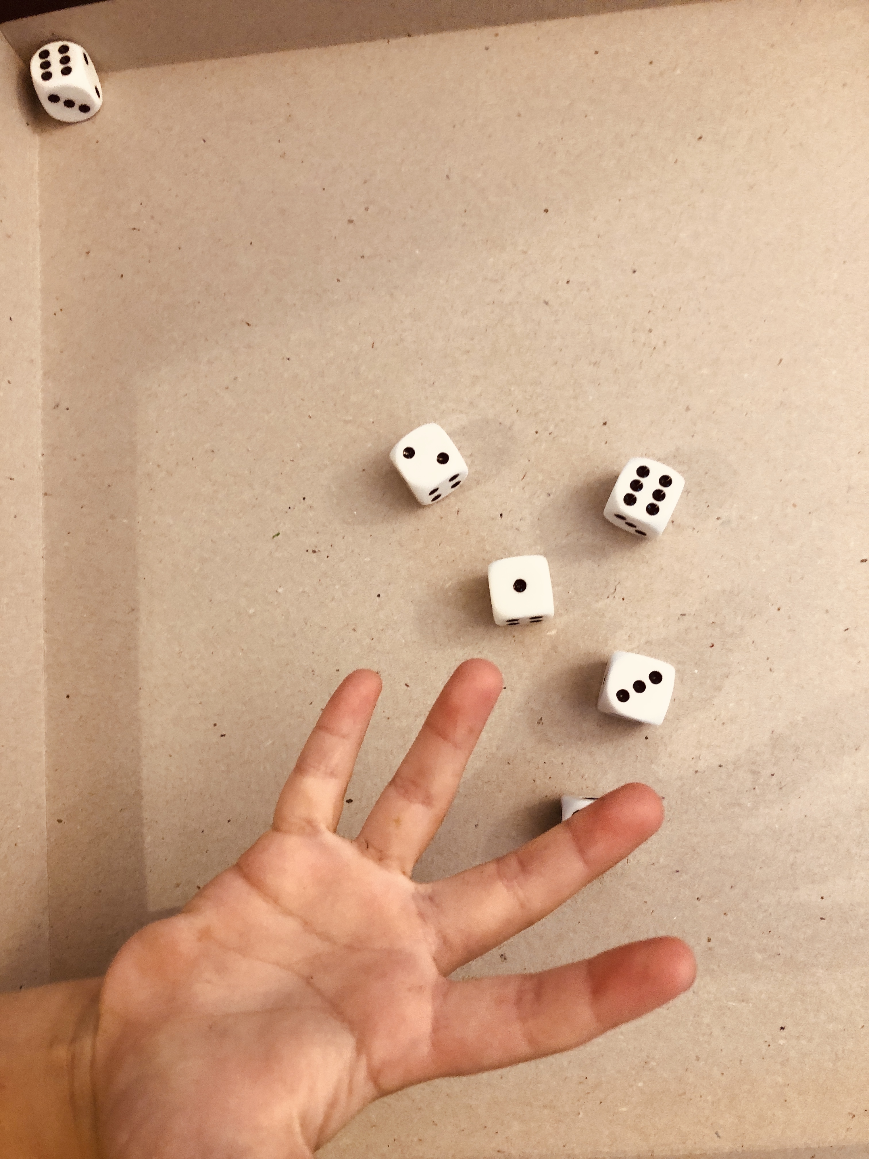 rolling dice for the dice bingo game