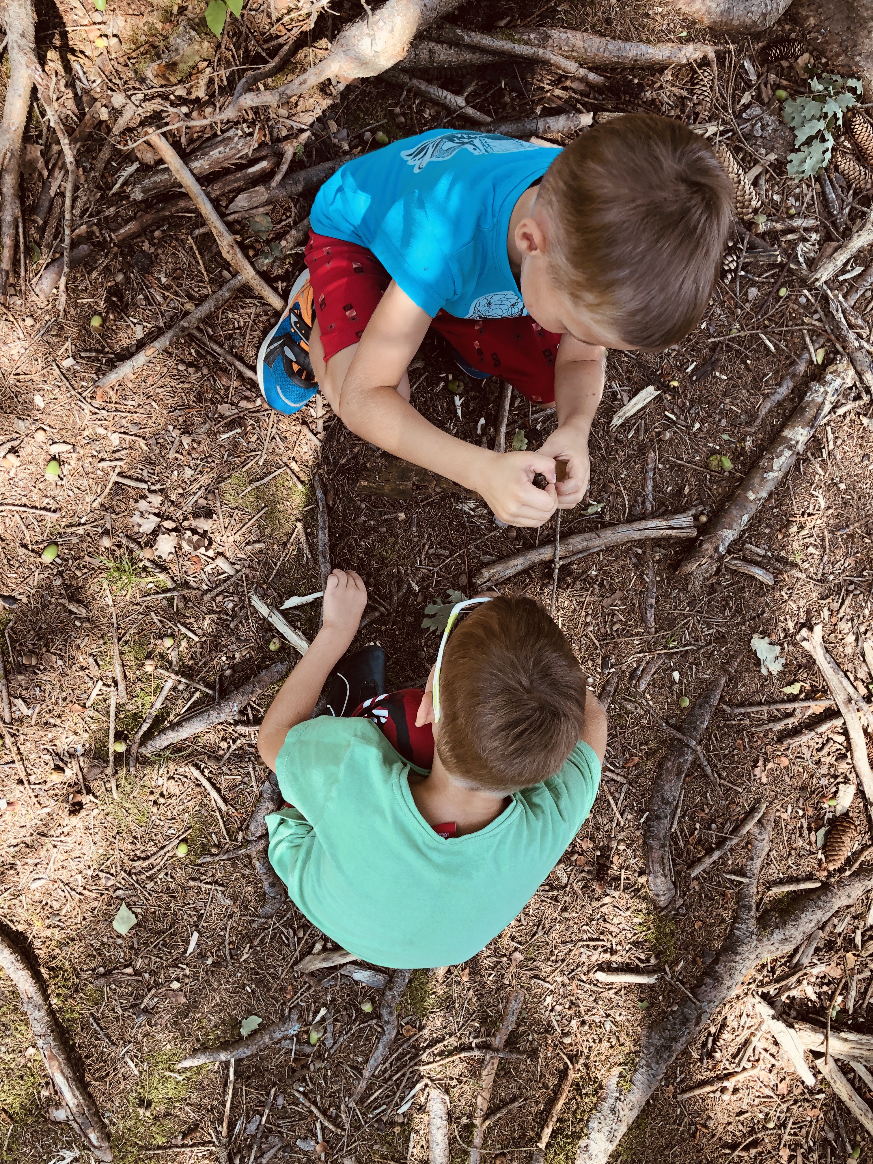 spending time in the forest looking for twigs and maple tree seeds