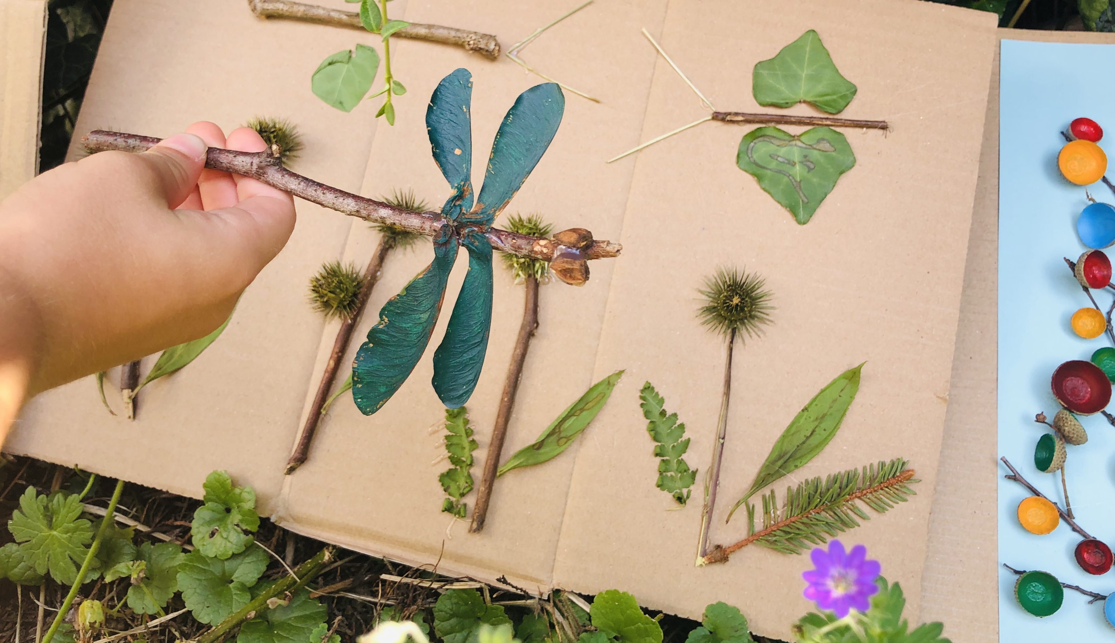 kid playing with dragonflies