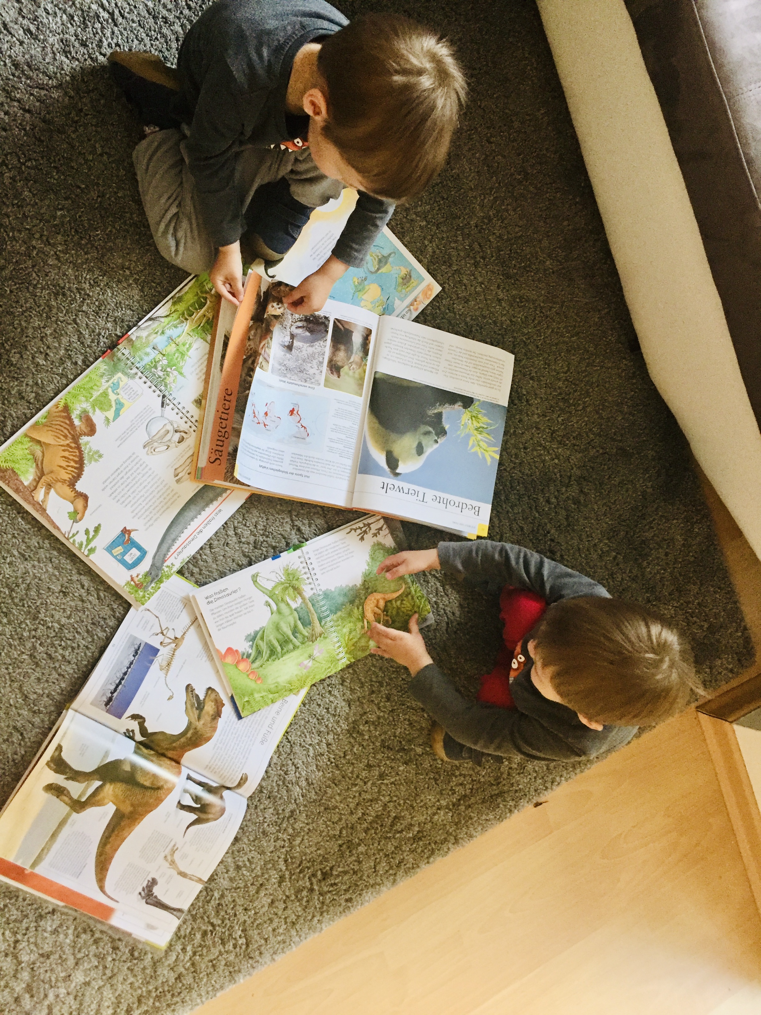 boys reading books about dinosaurs