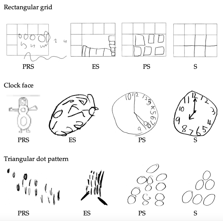 representations of structural responses