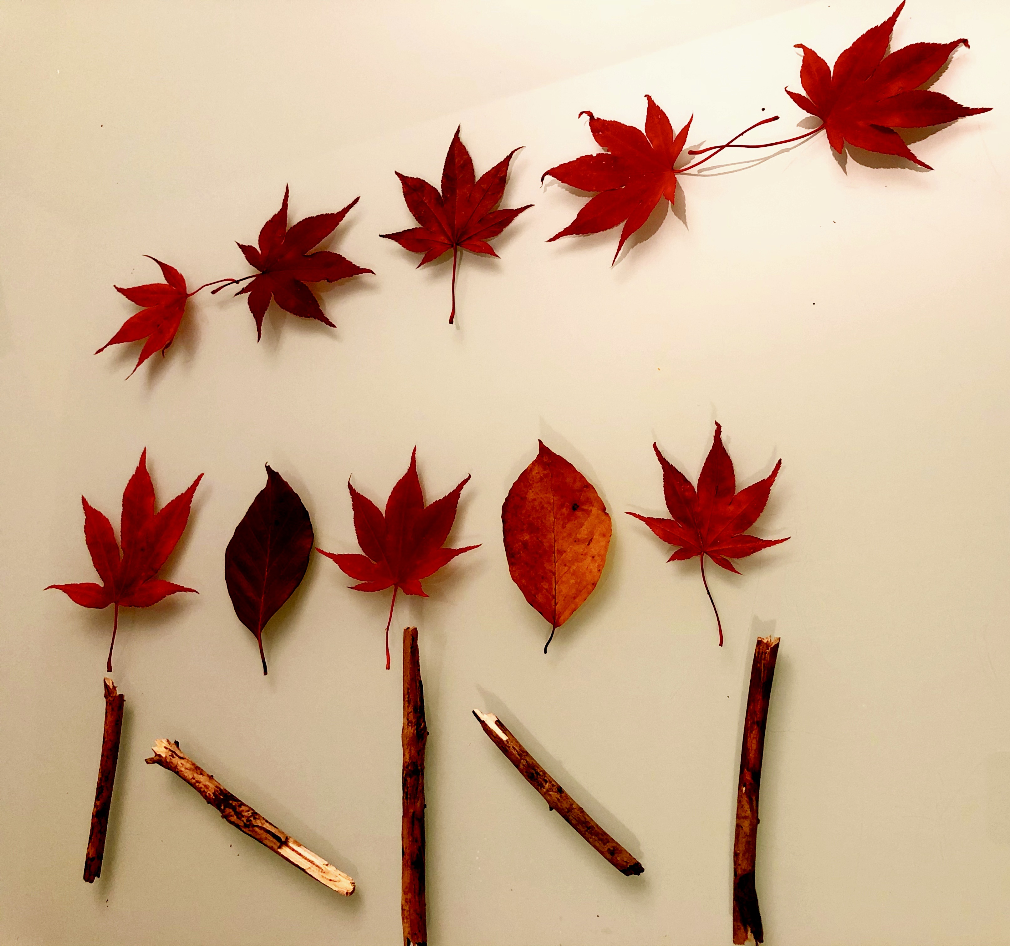 pattern recognition with leaves and sticks